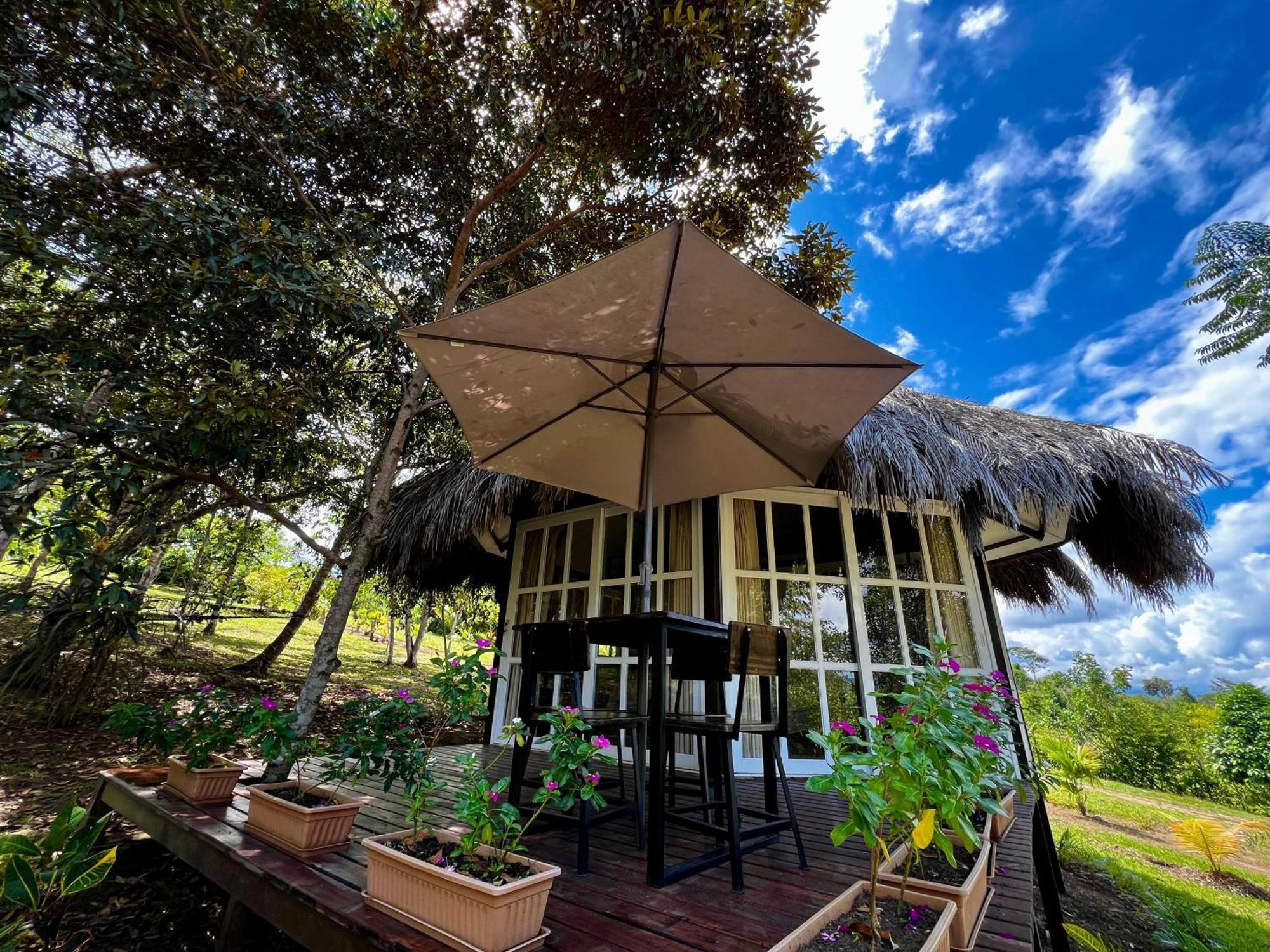 El Resort De Yanashpa - タラポト 部屋 写真