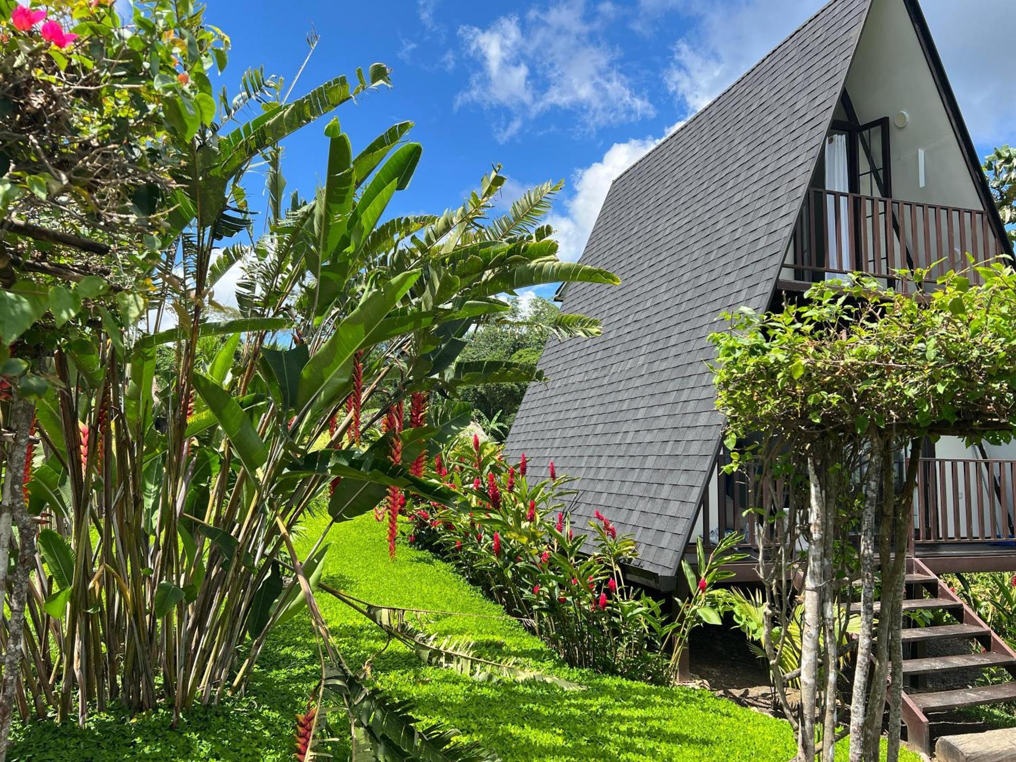 El Resort De Yanashpa - タラポト 部屋 写真